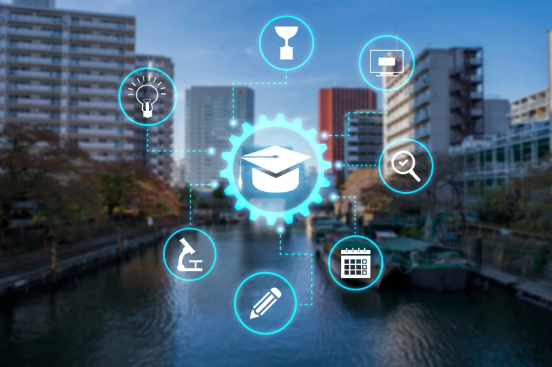 Custom LMS Solutions