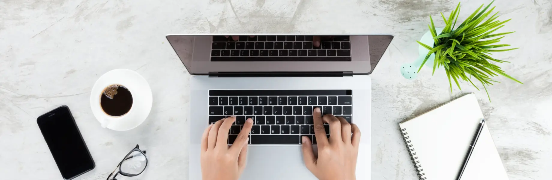 WordPress web development company
