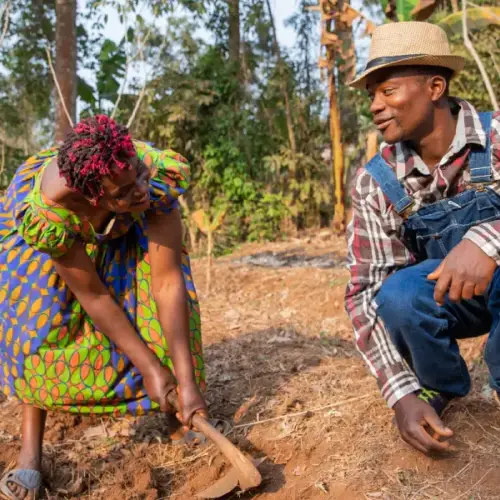 Agriculture Marketplace for Local Farmers of Africa