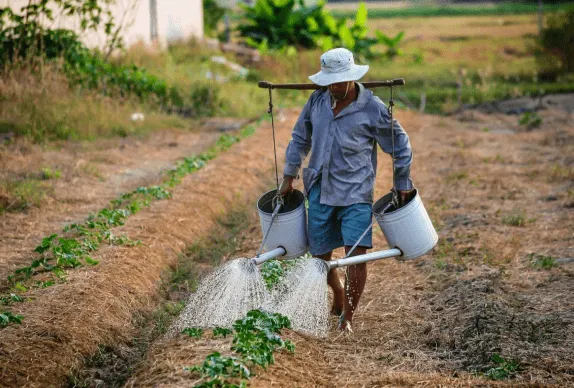 Agriculture Marketplace