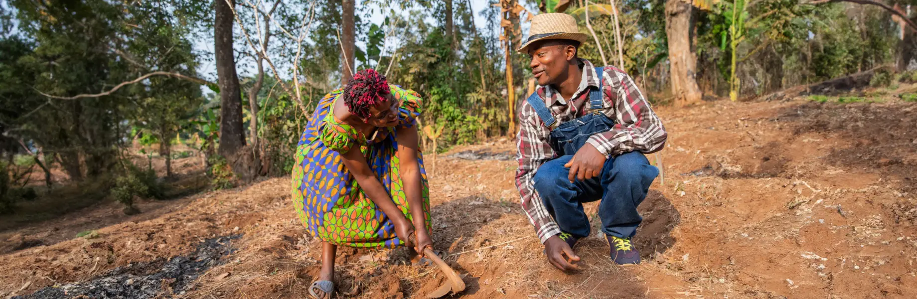 Agriculture Marketplace for Local Farmers