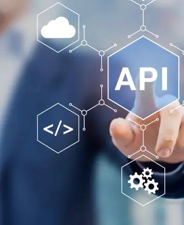 WordPress API Integration