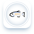 GlassFish