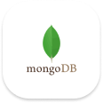 MongoDB case study