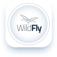 WildFly