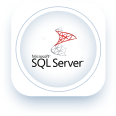 Microsoft SQL Server Integration Services (SSIS)